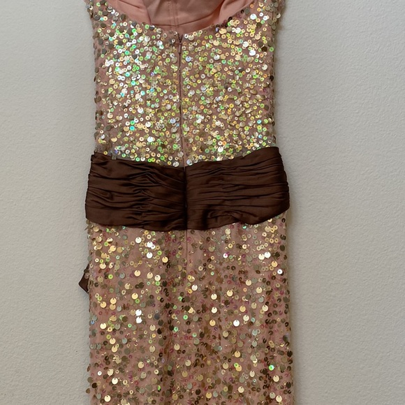 Long Sparkly Dress - Picture 5 of 7